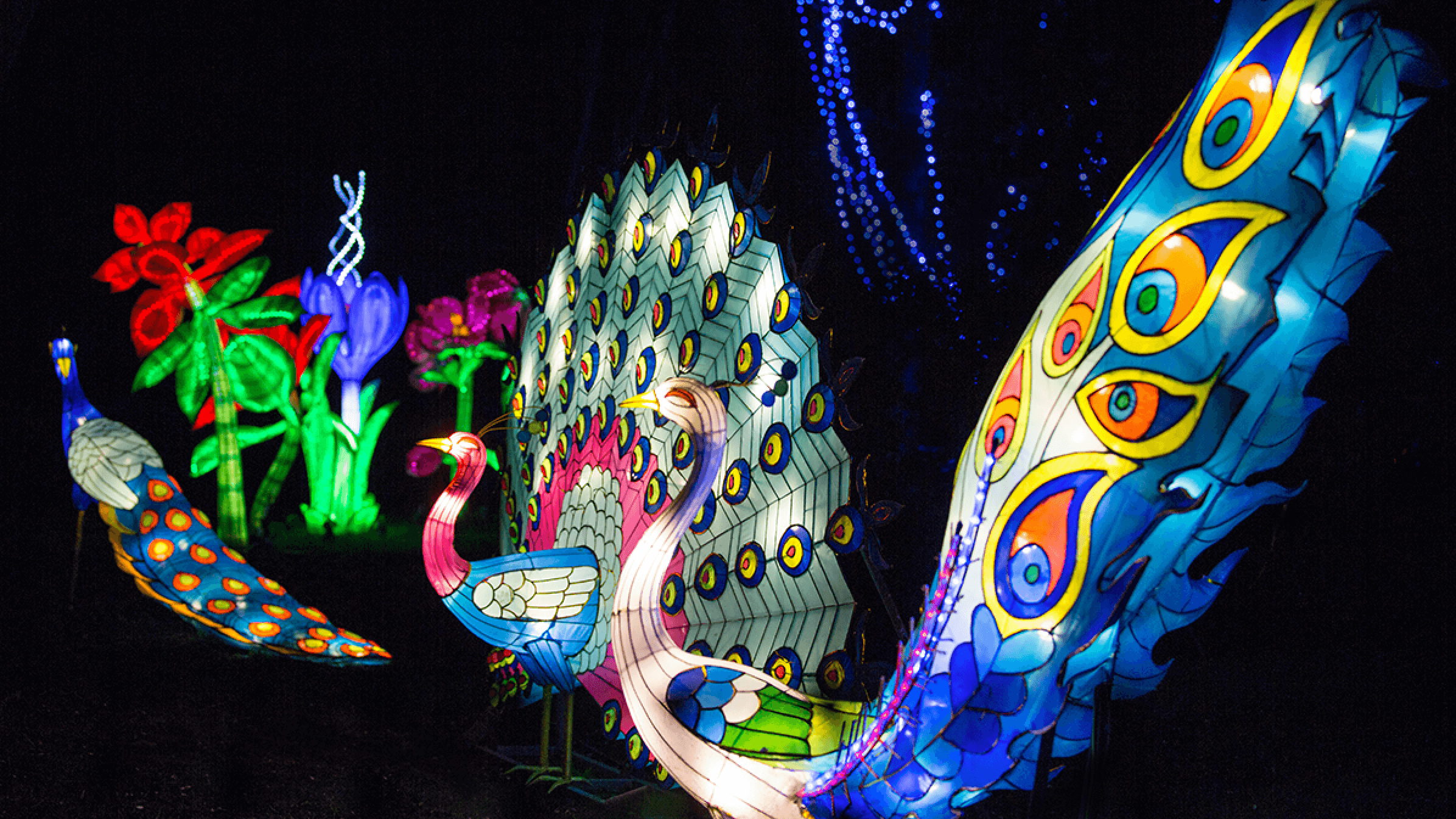 Magical Lantern Festival